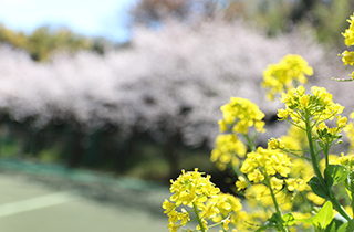学校周辺の様子
